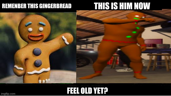 Gingerbread | THIS IS HIM NOW; REMENBER THIS GINGERBREAD; FEEL OLD YET? | image tagged in shrek | made w/ Imgflip meme maker