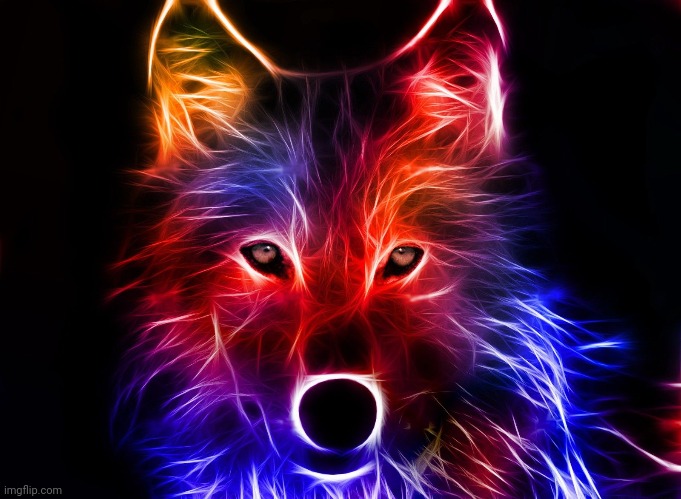 Wolf | image tagged in wolf | made w/ Imgflip meme maker