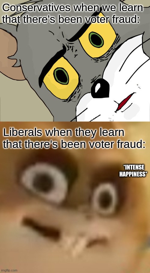 They know. | Conservatives when we learn that there's been voter fraud:; Liberals when they learn that there's been voter fraud:; *INTENSE HAPPINESS* | image tagged in memes,unsettled tom | made w/ Imgflip meme maker