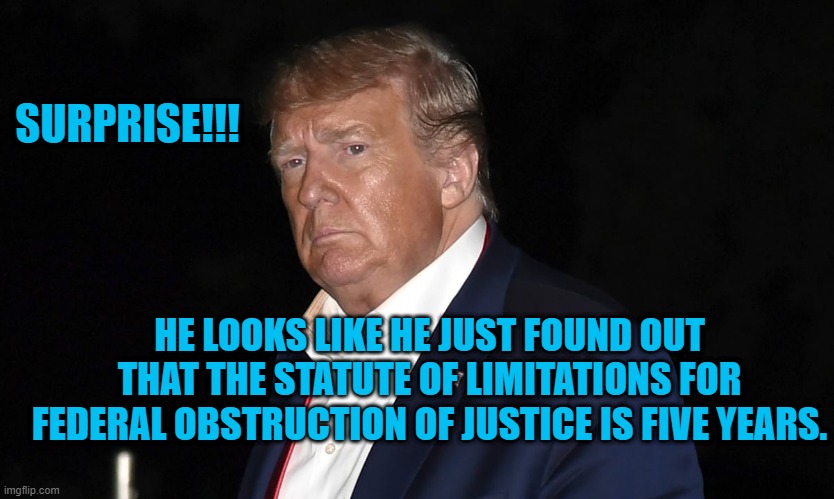 Pardon Me.  (Please!!!) | SURPRISE!!! HE LOOKS LIKE HE JUST FOUND OUT THAT THE STATUTE OF LIMITATIONS FOR FEDERAL OBSTRUCTION OF JUSTICE IS FIVE YEARS. | image tagged in politics | made w/ Imgflip meme maker