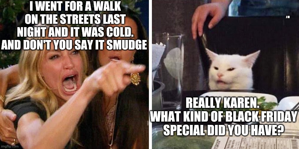 Smudge the cat | I WENT FOR A WALK ON THE STREETS LAST NIGHT AND IT WAS COLD. AND DON'T YOU SAY IT SMUDGE; J M; REALLY KAREN.  WHAT KIND OF BLACK FRIDAY SPECIAL DID YOU HAVE? | image tagged in smudge the cat | made w/ Imgflip meme maker