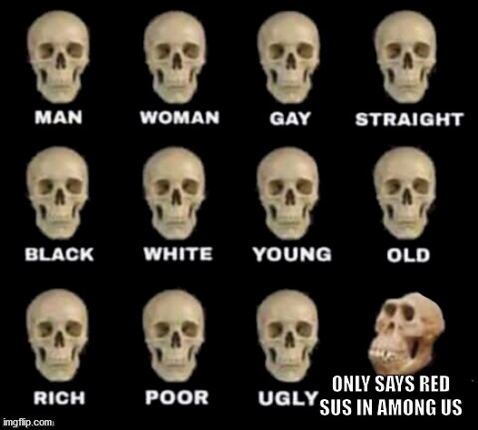 idiot skull | ONLY SAYS RED SUS IN AMONG US | image tagged in idiot skull | made w/ Imgflip meme maker