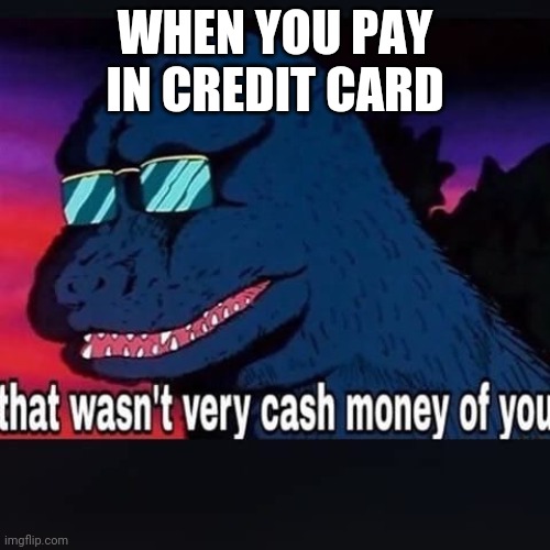 That wasnt very cash money of you | WHEN YOU PAY IN CREDIT CARD | image tagged in that wasnt very cash money of you | made w/ Imgflip meme maker