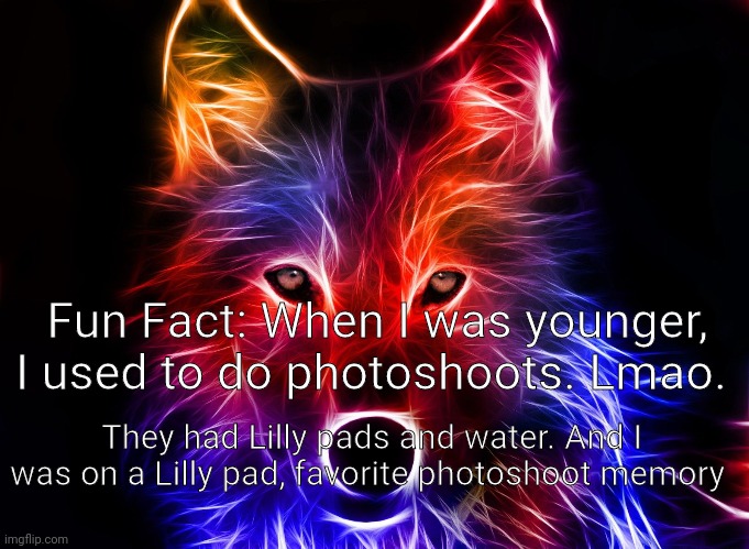 Yes I actually liked taking pictures | Fun Fact: When I was younger, I used to do photoshoots. Lmao. They had Lilly pads and water. And I was on a Lilly pad, favorite photoshoot memory | image tagged in wolf | made w/ Imgflip meme maker