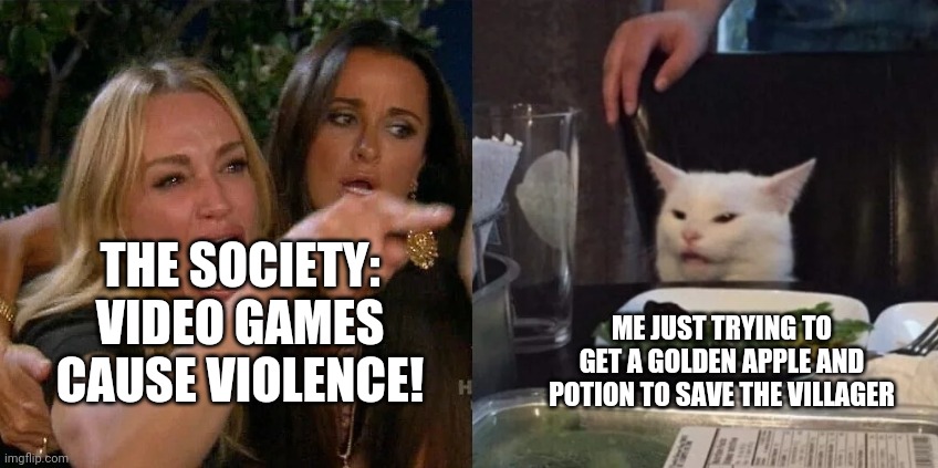 two girls cat zeeks | THE SOCIETY: VIDEO GAMES CAUSE VIOLENCE! ME JUST TRYING TO GET A GOLDEN APPLE AND POTION TO SAVE THE VILLAGER | image tagged in two girls cat zeeks | made w/ Imgflip meme maker