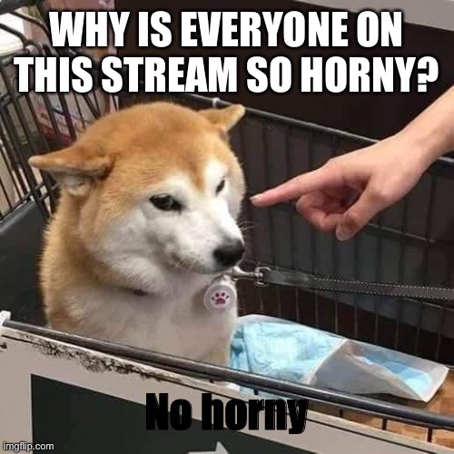 I mean seriously folks | WHY IS EVERYONE ON THIS STREAM SO HORNY? No horny | image tagged in no horny | made w/ Imgflip meme maker