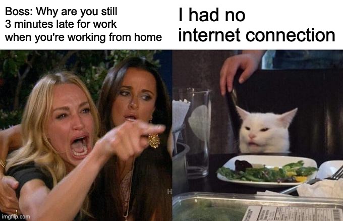 Woman Yelling At Cat Meme | Boss: Why are you still 3 minutes late for work when you're working from home; I had no internet connection | image tagged in memes,woman yelling at cat | made w/ Imgflip meme maker