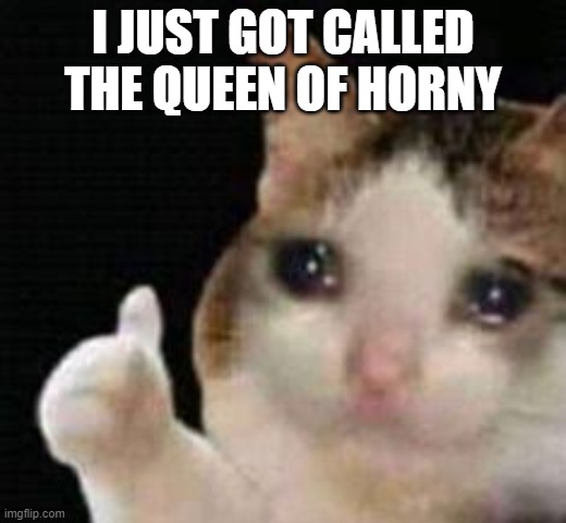 *cries* | I JUST GOT CALLED THE QUEEN OF HORNY | image tagged in approved crying cat | made w/ Imgflip meme maker