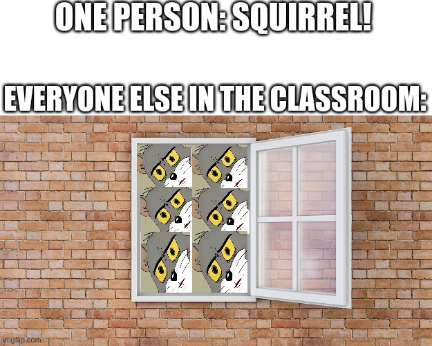 Squirrel | ONE PERSON: SQUIRREL! EVERYONE ELSE IN THE CLASSROOM: | image tagged in unsettled tom,squirrel,window,school | made w/ Imgflip meme maker