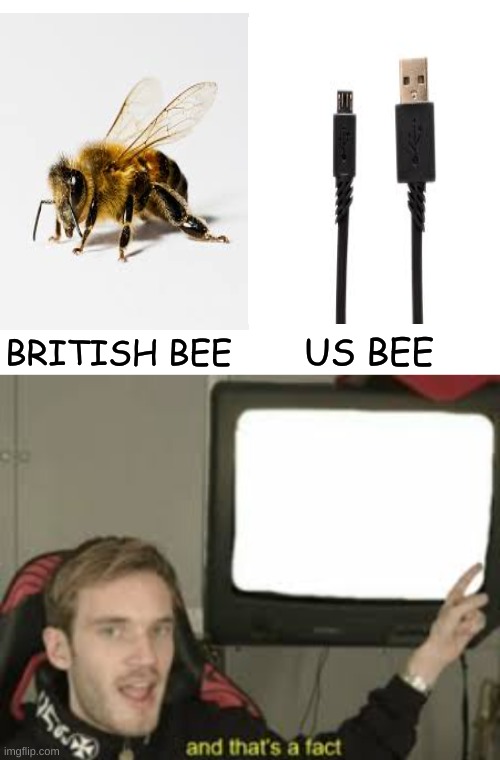 what quarantine has done | US BEE; BRITISH BEE | image tagged in blank white template | made w/ Imgflip meme maker