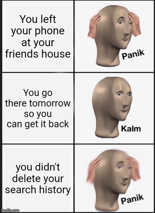 Panik Kalm Panik Meme | You left your phone at your friends house; You go there tomorrow so you can get it back; you didn't delete your search history | image tagged in memes,panik kalm panik | made w/ Imgflip meme maker