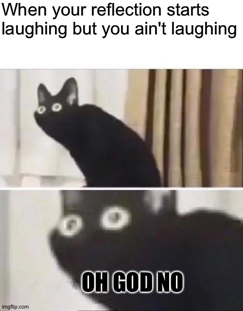 Oh No Black Cat | When your reflection starts laughing but you ain't laughing OH GOD NO | image tagged in oh no black cat | made w/ Imgflip meme maker