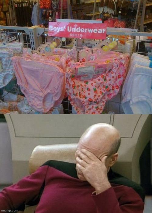 wot | image tagged in memes,captain picard facepalm,funny,task failed successfully,underwear,you had one job just the one | made w/ Imgflip meme maker