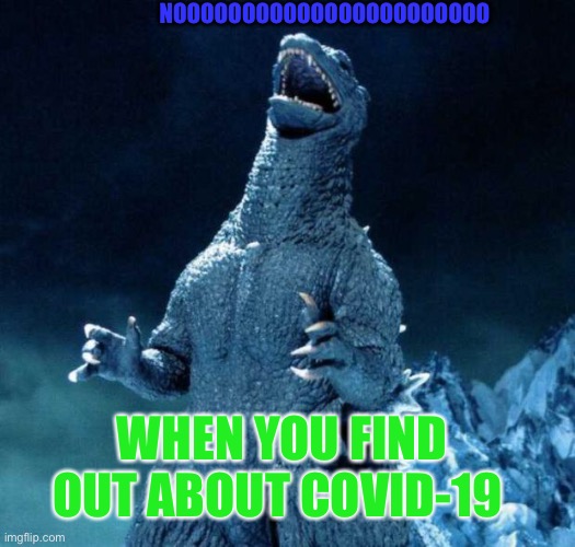 Laughing Godzilla | NOOOOOOOOOOOOOOOOOOOOOOO; WHEN YOU FIND OUT ABOUT COVID-19 | image tagged in laughing godzilla | made w/ Imgflip meme maker