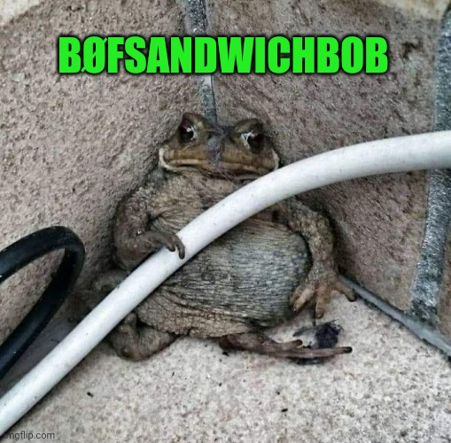 Bøfsandwichbob | BØFSANDWICHBOB | image tagged in bob,lorenzen,forspist,boefsandwich | made w/ Imgflip meme maker
