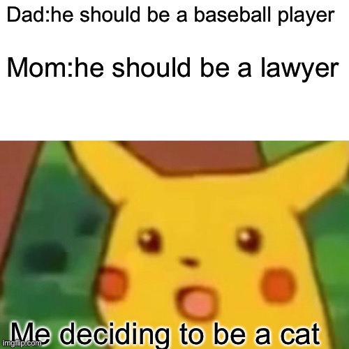 Jobs | Dad:he should be a baseball player; Mom:he should be a lawyer; Me deciding to be a cat | image tagged in memes,surprised pikachu | made w/ Imgflip meme maker