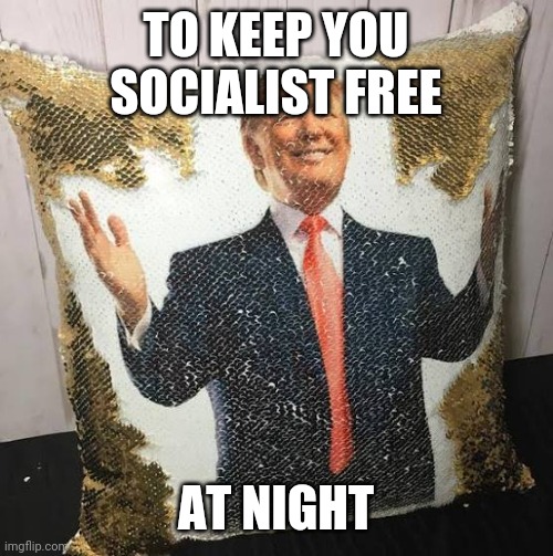 Politics and stuff | TO KEEP YOU SOCIALIST FREE; AT NIGHT | image tagged in funny memes | made w/ Imgflip meme maker