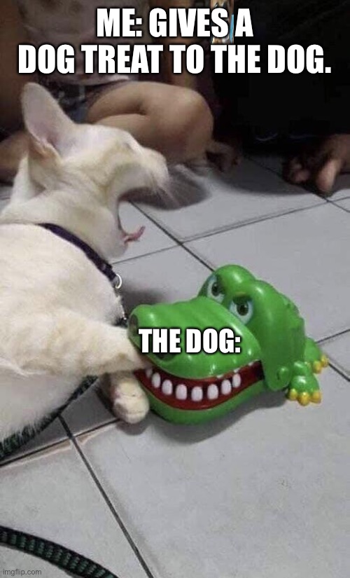 dogs be like | ME: GIVES A DOG TREAT TO THE DOG. THE DOG: | image tagged in cat bite | made w/ Imgflip meme maker