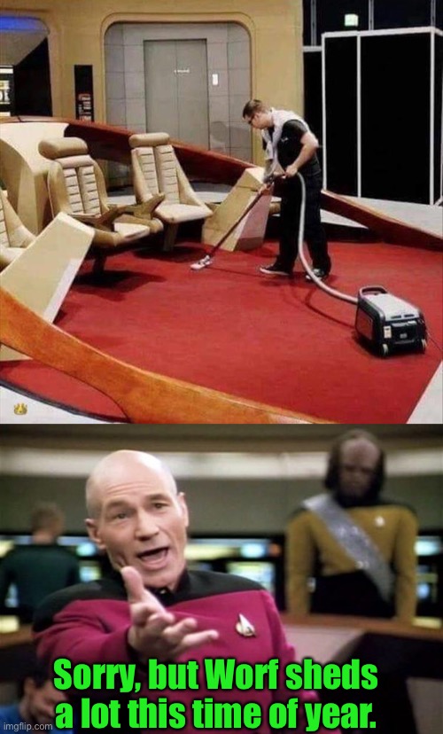 Better than being a redshirt. | Sorry, but Worf sheds a lot this time of year. | image tagged in startrek,vacuum cleaner,lieutenant worf,memes,funny | made w/ Imgflip meme maker
