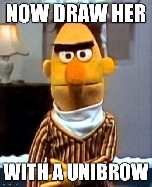 unibrow | NOW DRAW HER; WITH A UNIBROW | image tagged in drawing,bert and ernie,sesame street,sesame street - angry bert,art | made w/ Imgflip meme maker