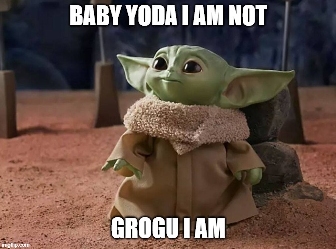 Tikka Tikka Tikka Tikka hello my name is hello my name is.... | BABY YODA I AM NOT; GROGU I AM | image tagged in grogu | made w/ Imgflip meme maker