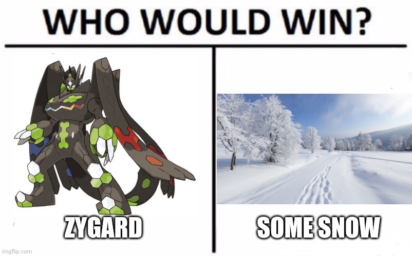 Zygard had a 4x weakness to ice | ZYGARD; SOME SNOW | image tagged in memes,who would win | made w/ Imgflip meme maker
