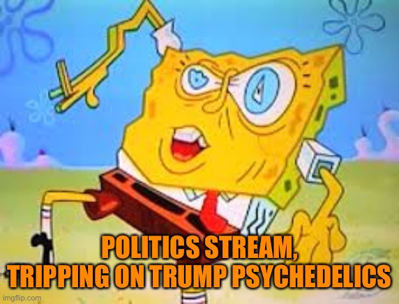 Sponge bob Lsd | POLITICS STREAM, TRIPPING ON TRUMP PSYCHEDELICS | image tagged in sponge bob lsd | made w/ Imgflip meme maker