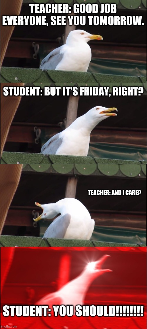Inhaling Seagull | TEACHER: GOOD JOB EVERYONE, SEE YOU TOMORROW. STUDENT: BUT IT'S FRIDAY, RIGHT? TEACHER: AND I CARE? STUDENT: YOU SHOULD!!!!!!!! | image tagged in memes,inhaling seagull | made w/ Imgflip meme maker