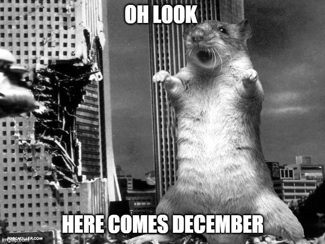 Raccoon Lodge, Chaos | OH LOOK; HERE COMES DECEMBER | image tagged in december | made w/ Imgflip meme maker