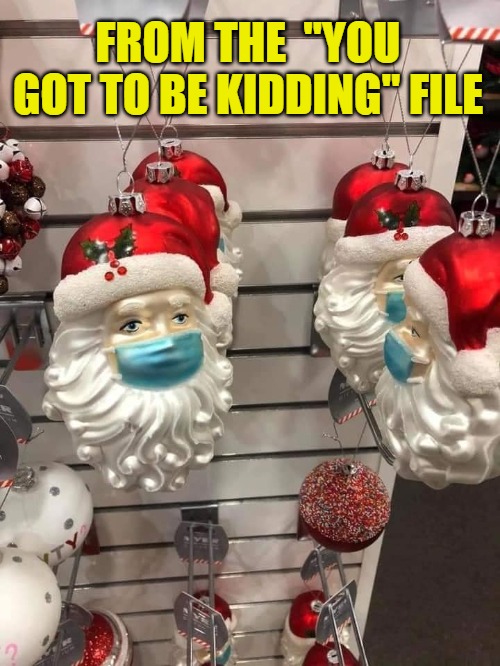 You Got To Be Kidding | FROM THE  "YOU GOT TO BE KIDDING" FILE | image tagged in santa,mask,santa claus,christmas,stupid | made w/ Imgflip meme maker