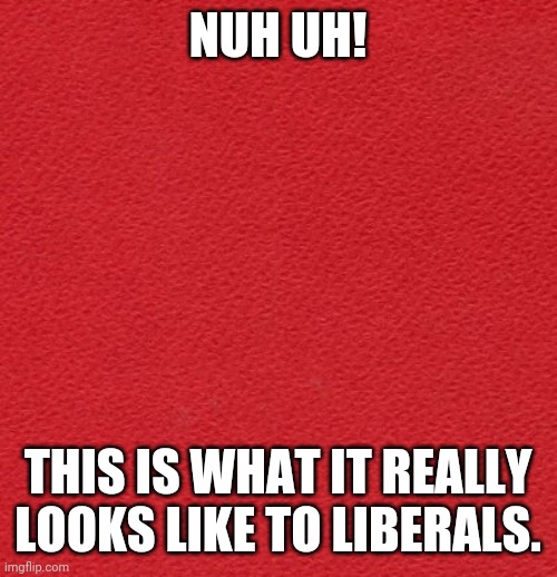 blank red card | NUH UH! THIS IS WHAT IT REALLY LOOKS LIKE TO LIBERALS. | image tagged in blank red card | made w/ Imgflip meme maker