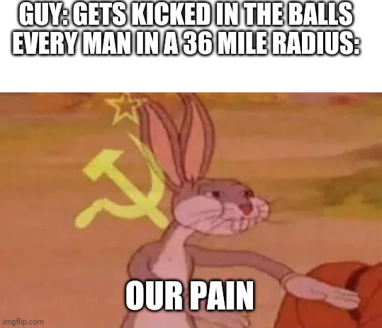 GUY: GETS KICKED IN THE BALLS
EVERY MAN IN A 36 MILE RADIUS:; OUR PAIN | image tagged in blank white template,bugs bunny communist | made w/ Imgflip meme maker