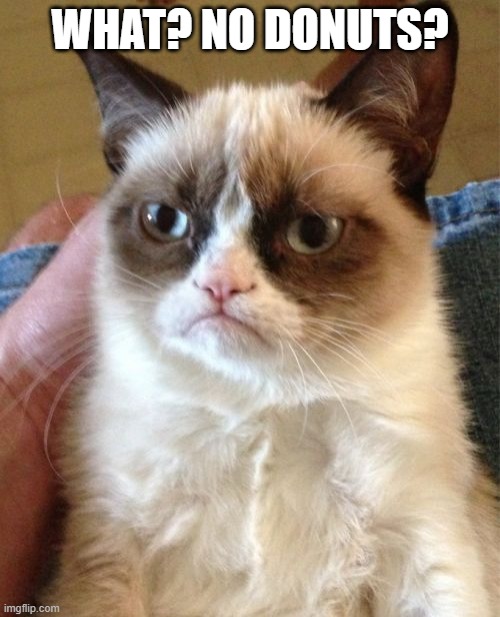 Grumpy Cat | WHAT? NO DONUTS? | image tagged in memes,grumpy cat | made w/ Imgflip meme maker