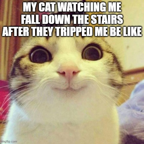 "meow" | MY CAT WATCHING ME FALL DOWN THE STAIRS AFTER THEY TRIPPED ME BE LIKE | image tagged in memes,smiling cat | made w/ Imgflip meme maker