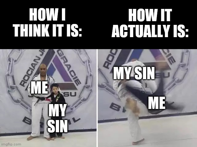 Always give it your all | HOW I THINK IT IS:; HOW IT ACTUALLY IS:; MY SIN; ME; ME; MY SIN | image tagged in always give it your all,sin,karate | made w/ Imgflip meme maker