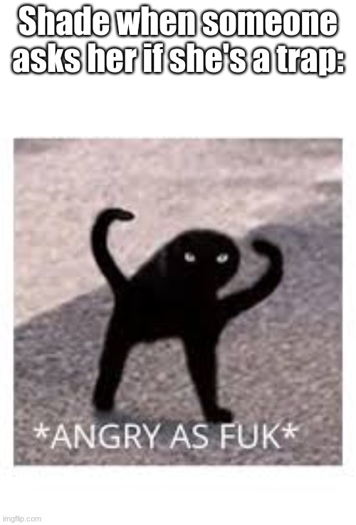 Angery as Fuk | Shade when someone asks her if she's a trap: | image tagged in angery as fuk | made w/ Imgflip meme maker