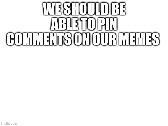 Blank White Template | WE SHOULD BE ABLE TO PIN COMMENTS ON OUR MEMES | image tagged in blank white template | made w/ Imgflip meme maker