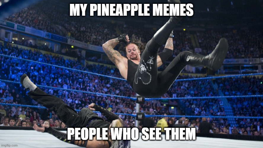 Meme Smackdown | MY PINEAPPLE MEMES; PEOPLE WHO SEE THEM | image tagged in meme smackdown | made w/ Imgflip meme maker