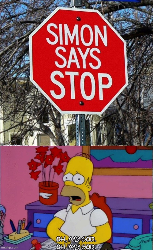 Better listen to Simon! | image tagged in funny,homer simpson,simon says | made w/ Imgflip meme maker