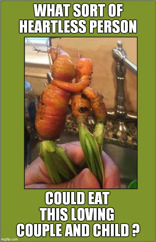 A Moral Question | WHAT SORT OF HEARTLESS PERSON; COULD EAT THIS LOVING; COUPLE AND CHILD ? | image tagged in carrots,questions,frontpage,vegans | made w/ Imgflip meme maker