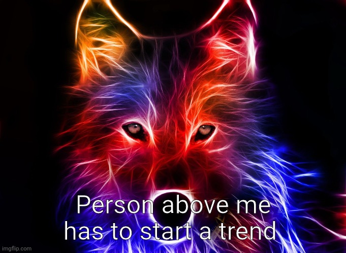 Wolf | Person above me has to start a trend | image tagged in wolf | made w/ Imgflip meme maker