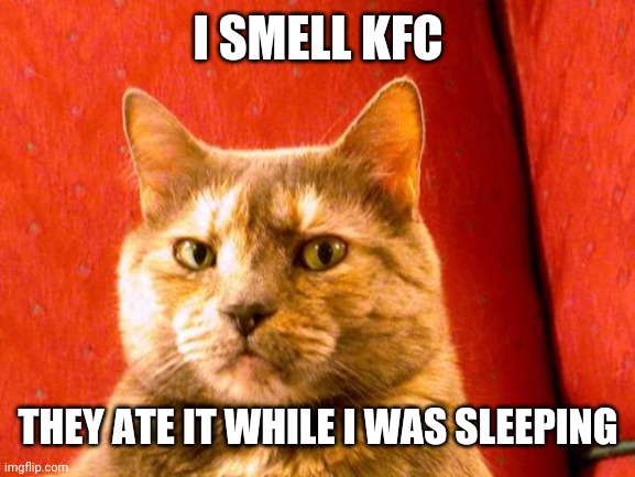 Suspicious Cat | I SMELL KFC; THEY ATE IT WHILE I WAS SLEEPING | image tagged in memes,suspicious cat | made w/ Imgflip meme maker