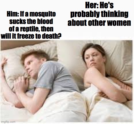 Would it tho? | Him: If a mosquito sucks the blood of a reptile, then will it freeze to death? Her: He's probably thinking about other women | image tagged in i bet he's thinking about other women | made w/ Imgflip meme maker