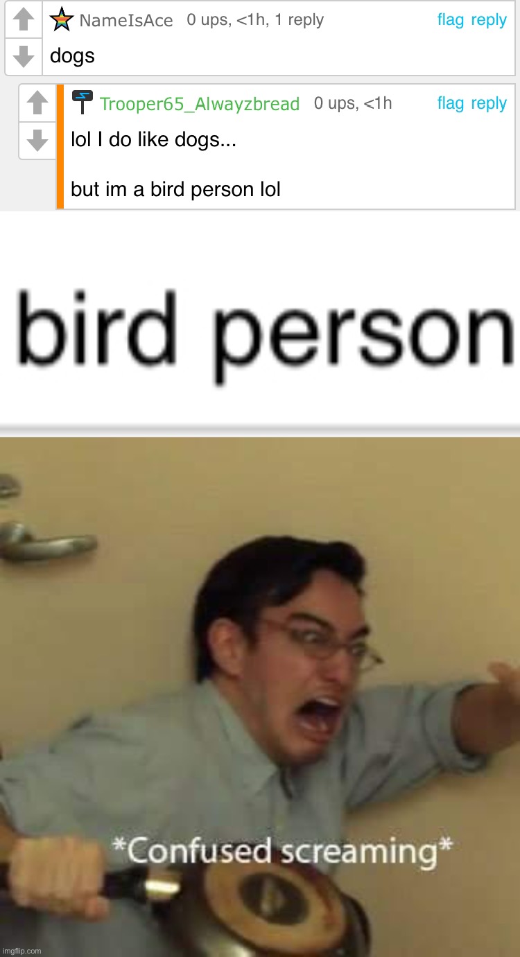 A humanoid berd?! | image tagged in filthy frank confused scream | made w/ Imgflip meme maker