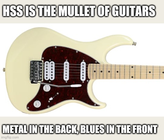 HSS IS THE MULLET OF GUITARS; METAL IN THE BACK, BLUES IN THE FRONT | image tagged in funny memes | made w/ Imgflip meme maker
