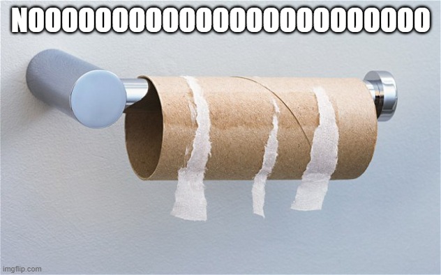 Empty toilet paper roll | NOOOOOOOOOOOOOOOOOOOOOOOO | image tagged in empty toilet paper roll | made w/ Imgflip meme maker