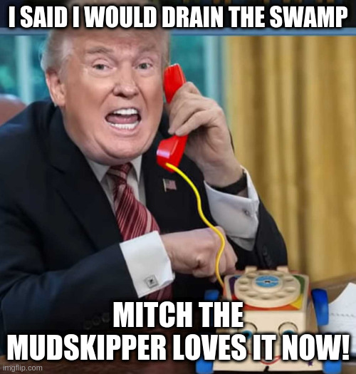 i can hear him saying this, but trying to sound like spongebob squarepants | I SAID I WOULD DRAIN THE SWAMP MITCH THE MUDSKIPPER LOVES IT NOW! | image tagged in i'm the president,cartoons,comedy | made w/ Imgflip meme maker