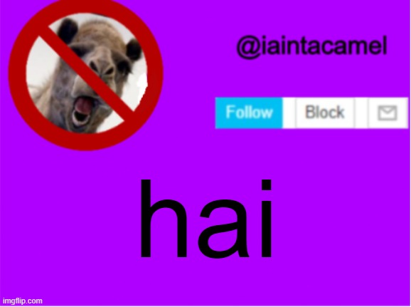 XD | hai | image tagged in iaintacamel | made w/ Imgflip meme maker