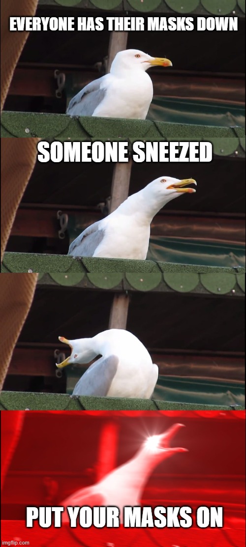 Inhaling Seagull Meme | EVERYONE HAS THEIR MASKS DOWN; SOMEONE SNEEZED; PUT YOUR MASKS ON | image tagged in memes,inhaling seagull | made w/ Imgflip meme maker