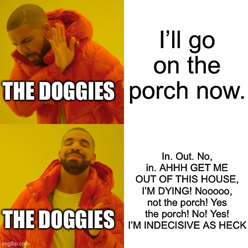 Drake Hotline Bling | I’ll go on the porch now. THE DOGGIES; In. Out. No, in. AHHH GET ME OUT OF THIS HOUSE, I’M DYING! Nooooo, not the porch! Yes the porch! No! Yes! I’M INDECISIVE AS HECK; THE DOGGIES | image tagged in memes,drake hotline bling | made w/ Imgflip meme maker
